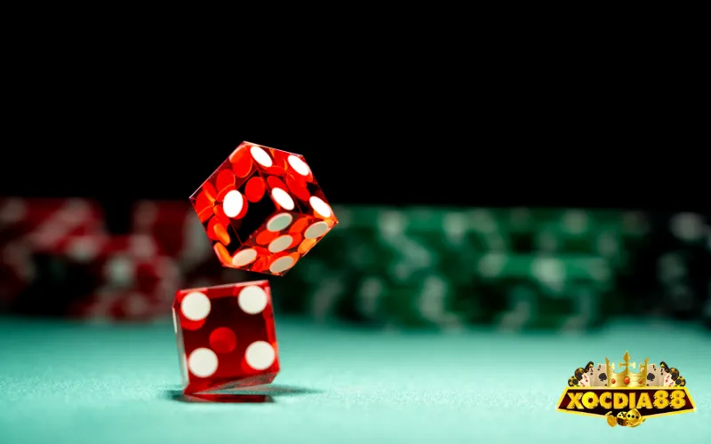 Chia sẻ một vài lưu ý khi chơi gấp thếp xóc đĩa