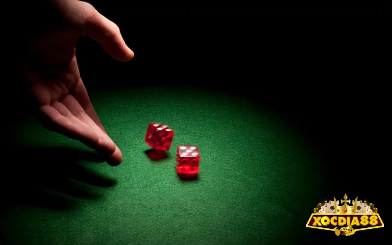 Mẹo áp dụng quy luật xóc đĩa để chiến thắng